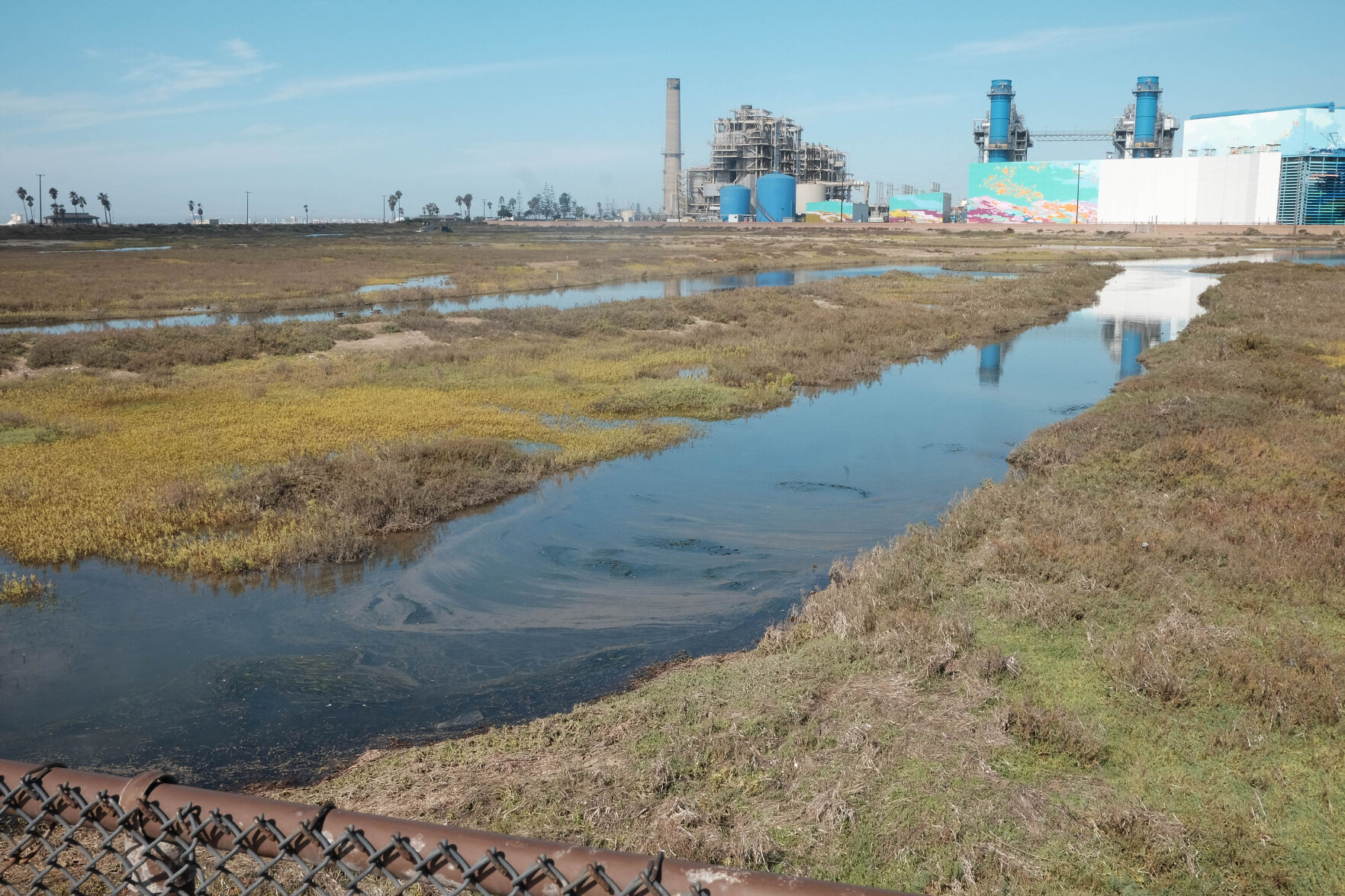 Oil spill reaches marshlands